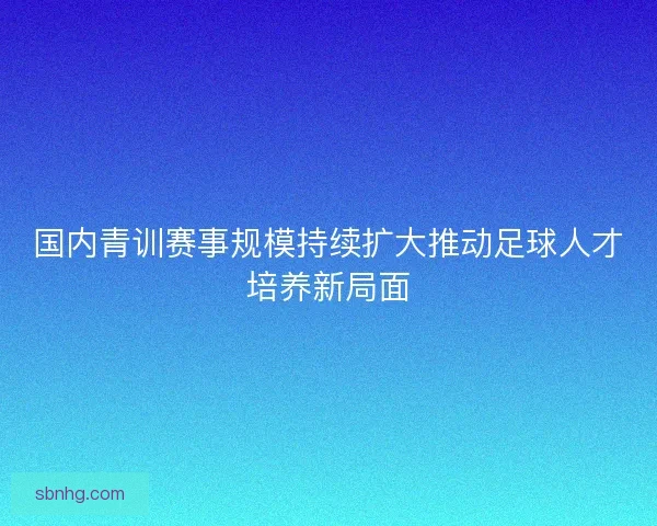 国内青训赛事规模持续扩大推动足球人才培养新局面